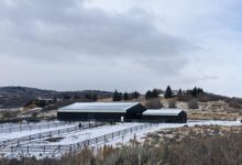Metal Buildings – Perfectly Suited for Handling the Heavy Snowfall
